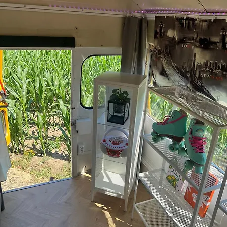 Buli School Bus Skorzecin