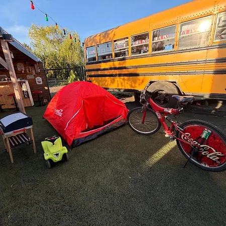 Buli School Bus